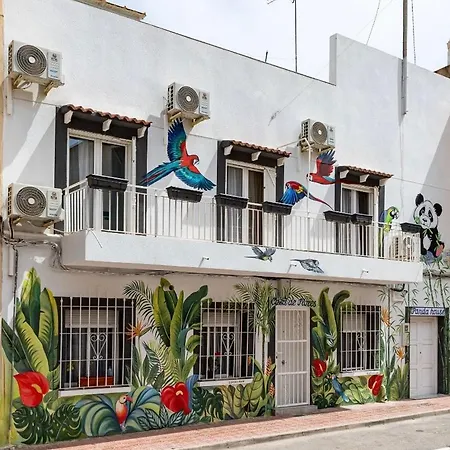 Apartment Panda House