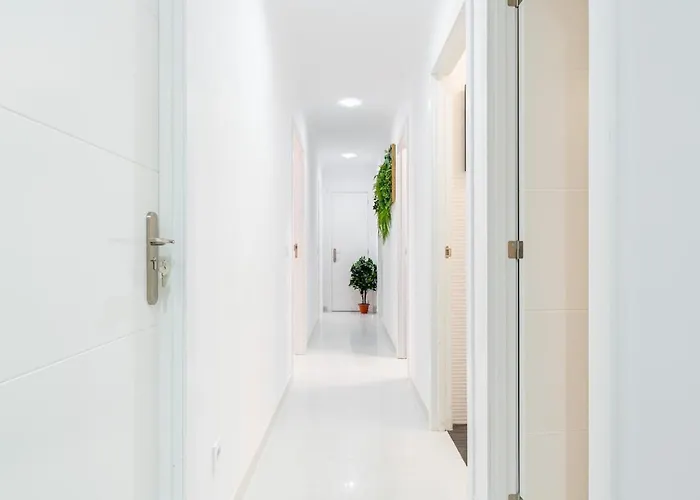 Panda House Appartement Torrevieja