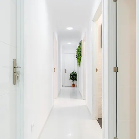 Panda House Apartament Torrevieja